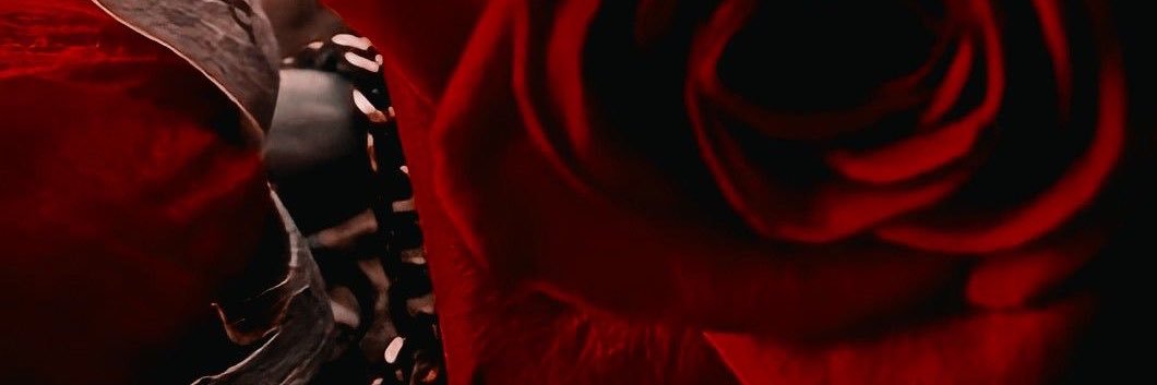 𝓡𝓮𝓮𝓭 🌹 banner