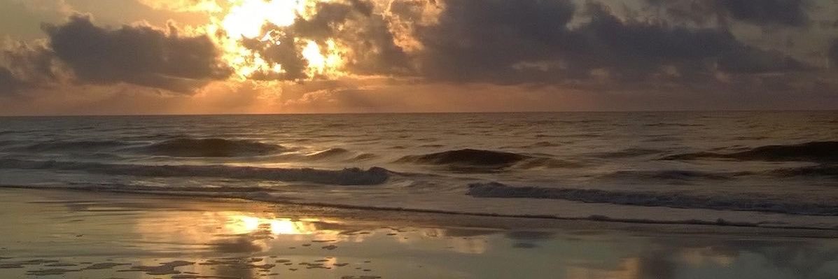 xucck's profile banner image