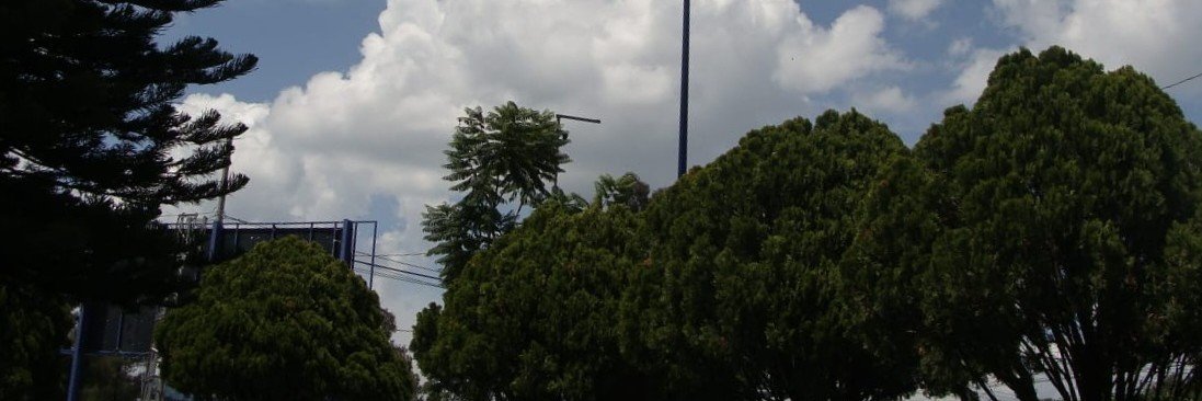 abbisognata's profile banner image