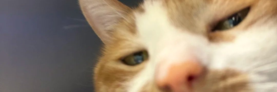 Junni🧸 banner