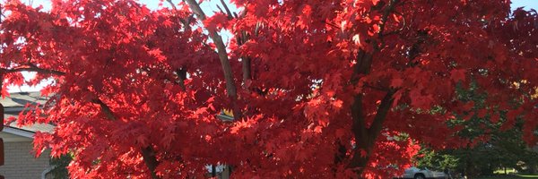 Jay_Kennedy Profile Banner