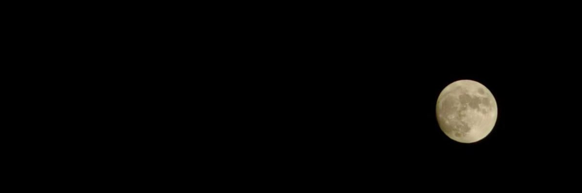 capy's banner
