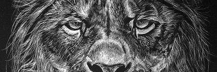 puckopetrol's profile banner image