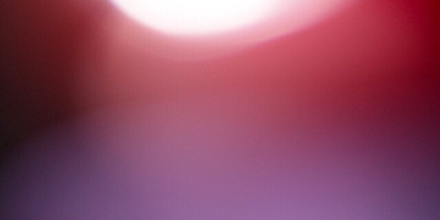 phibo's profile banner image
