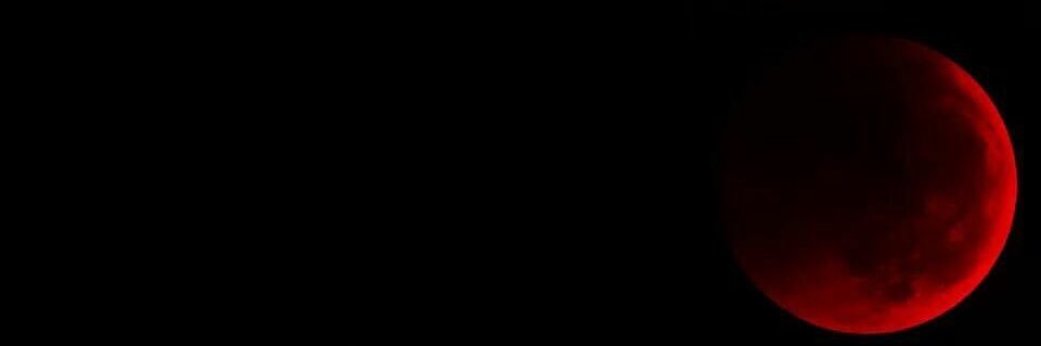 harine 🦇 SAW GHOST 13/05 banner