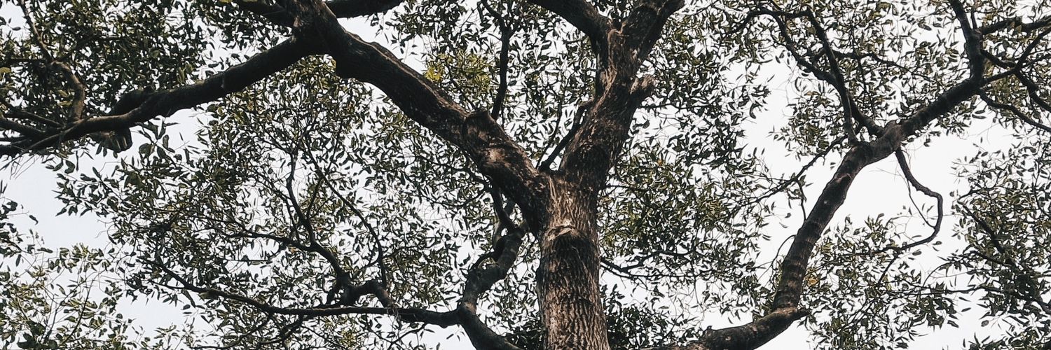 lnprtw's profile banner image