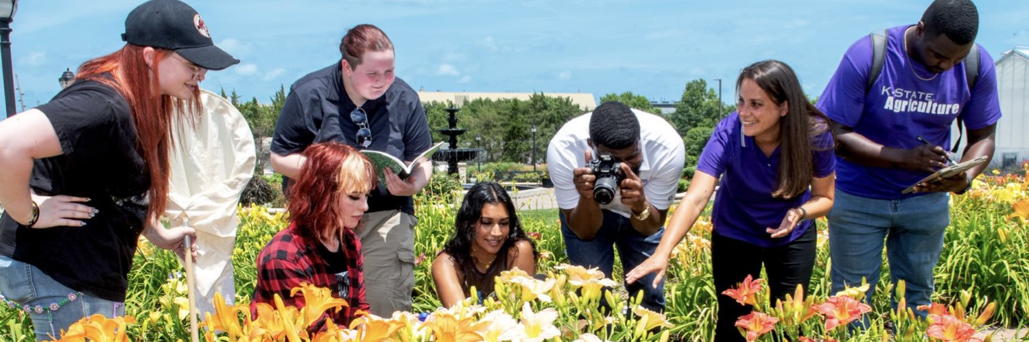 K-State Department of Entomology banner