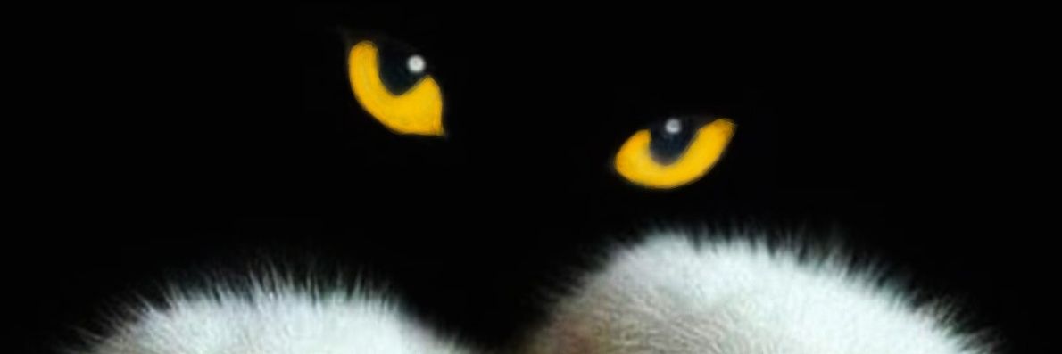leBarx's profile banner image
