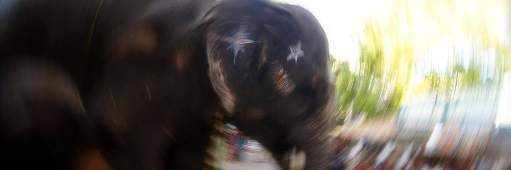 dhirendraism's profile banner image