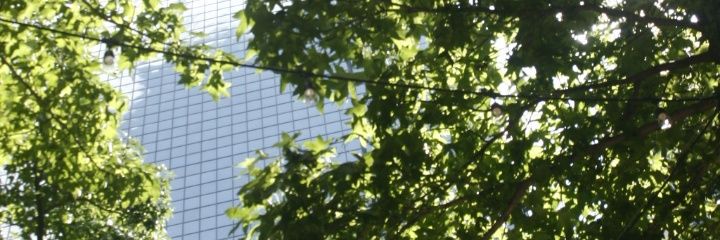 asheera143's profile banner image