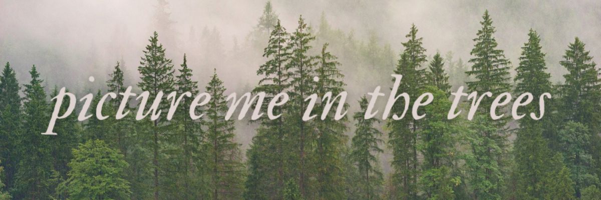 mayafatalerror banner