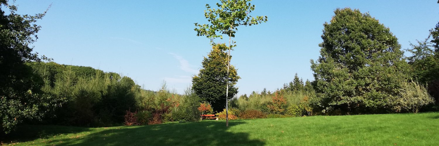 StepanStie's profile banner image