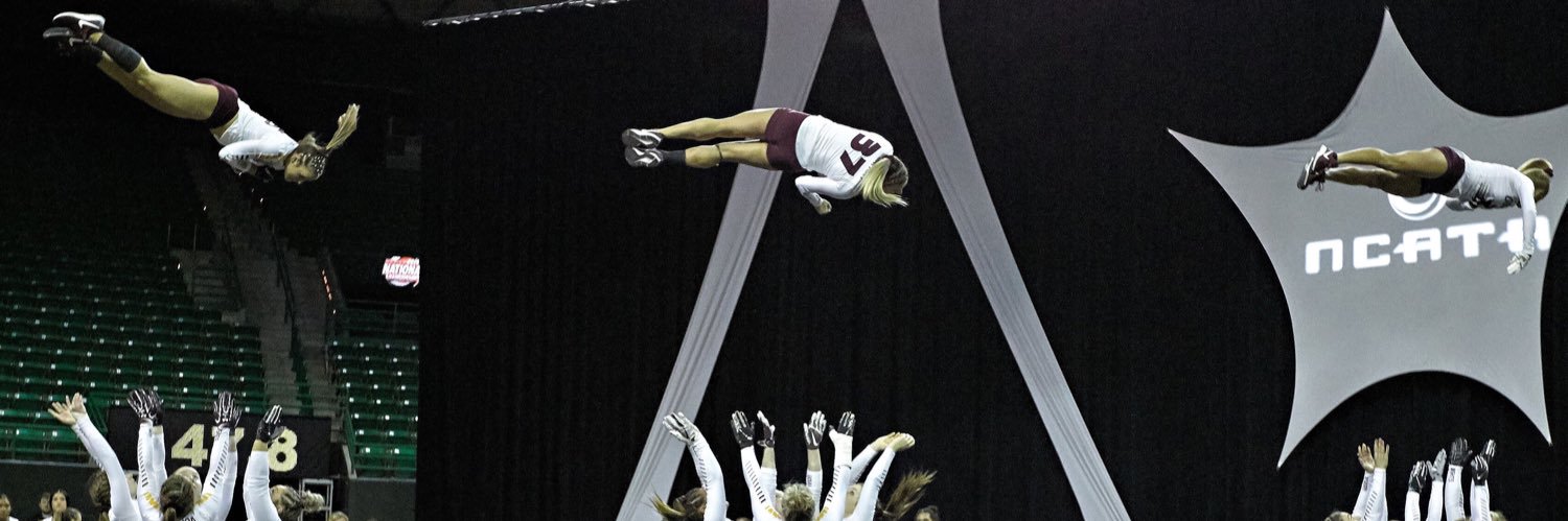 guacrotumbling's profile banner image
