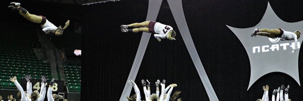 guacrotumbling Profile Banner