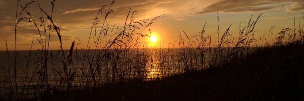 foxtrott_paddy's profile banner image