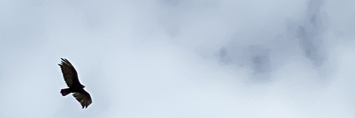 Dayana Peredo banner