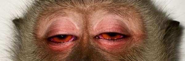 2barbie4R Profile Banner