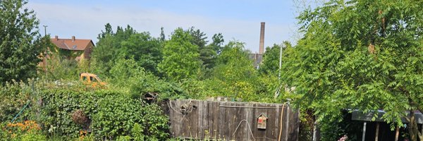 Leonox Profile Banner