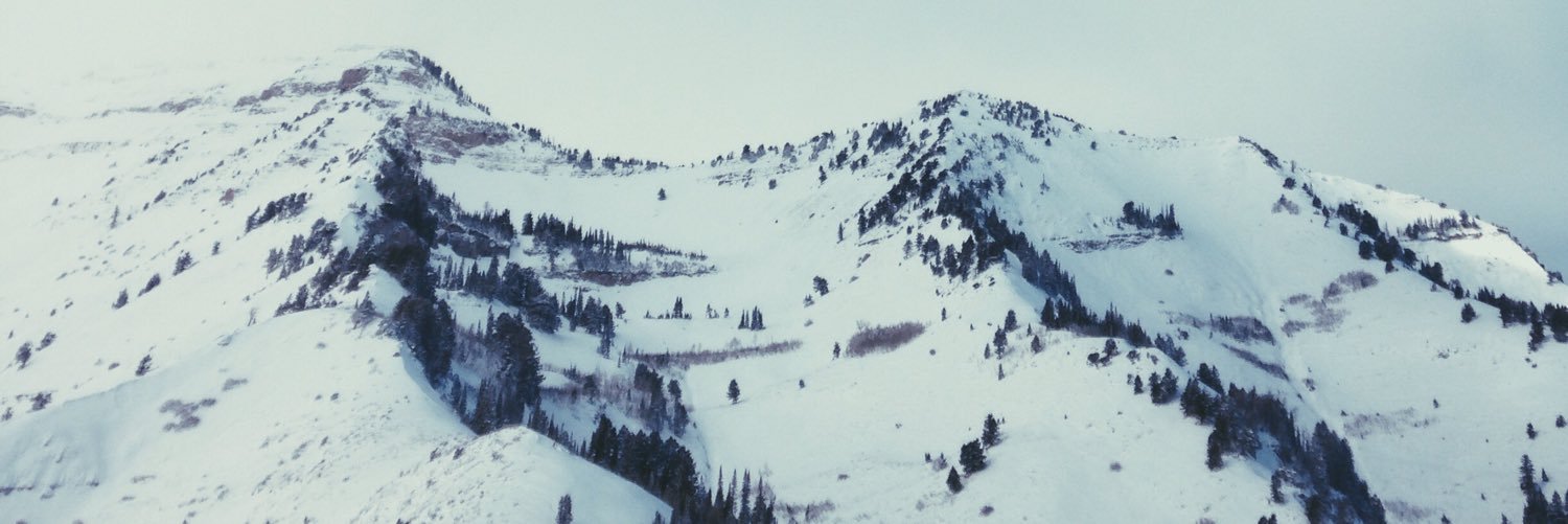 WallaceFielding's profile banner image