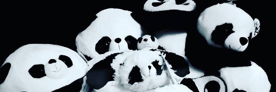 axellester's profile banner image