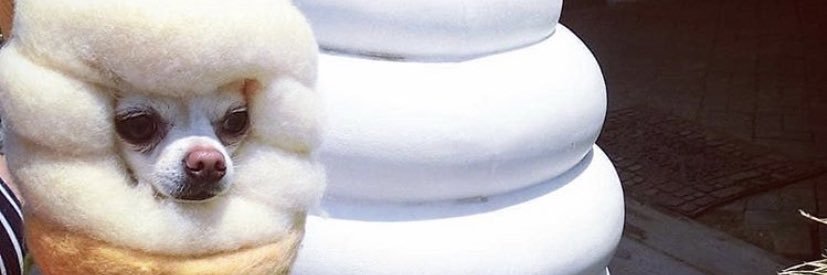 rosmasonloader's profile banner image