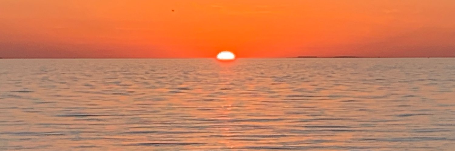 VirginiaButler_'s profile banner image