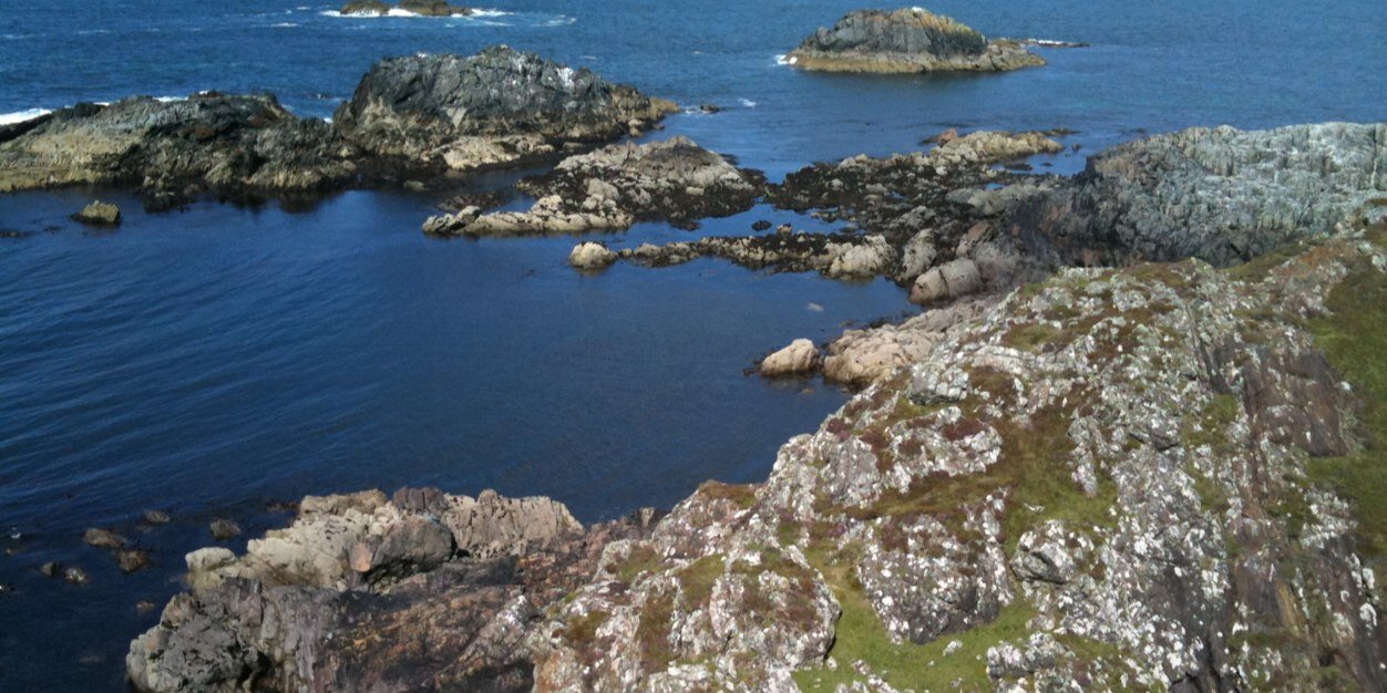 Yvonne Morley banner