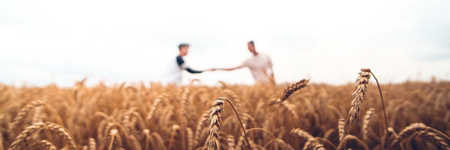 FarmerWellness's profile banner image