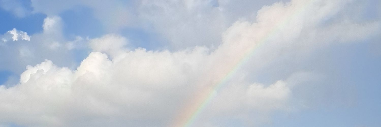 prof3911's profile banner image