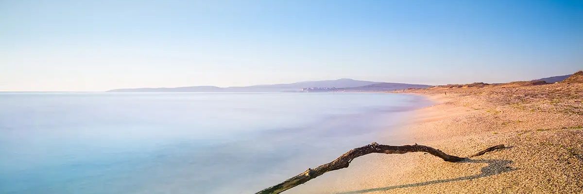 daysymax's profile banner image