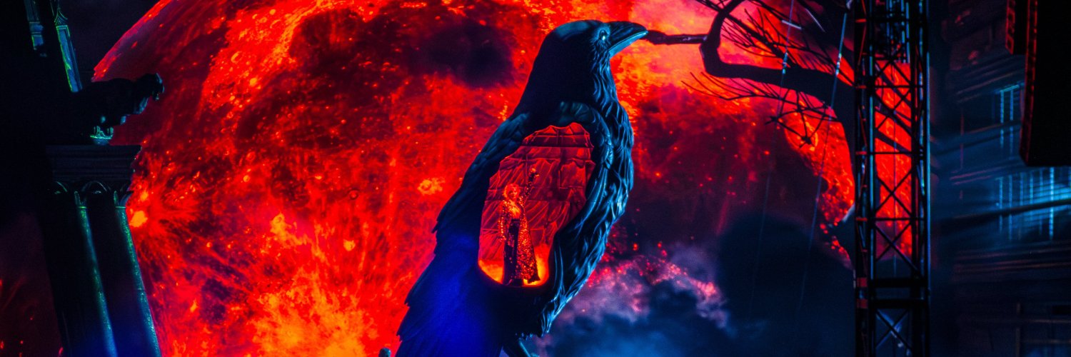 Solène | Désob' stan account | Nevermore 5/5 🐦‍⬛✨ banner