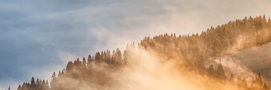Markus Somm banner