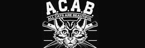 Pastor Dalberg banner