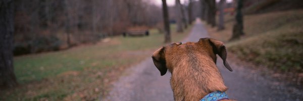 jbouie Profile Banner