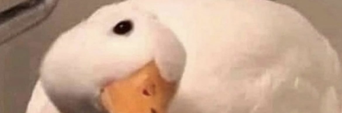 alyssakps's profile banner image