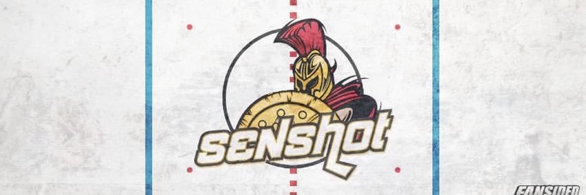SenShot_FS's profile banner image