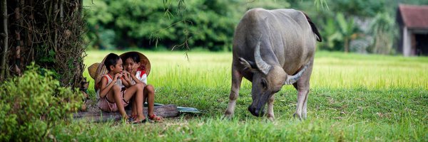 EmmaAcaciaa Profile Banner