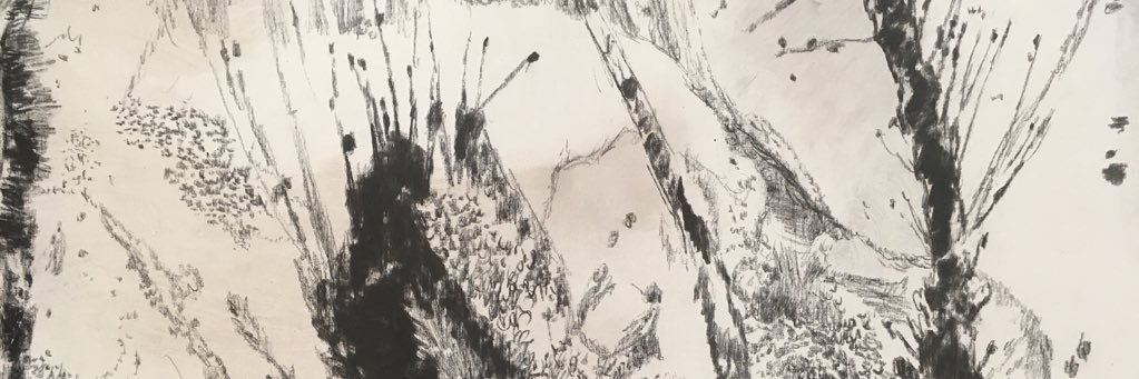 iamngonzalez's profile banner image