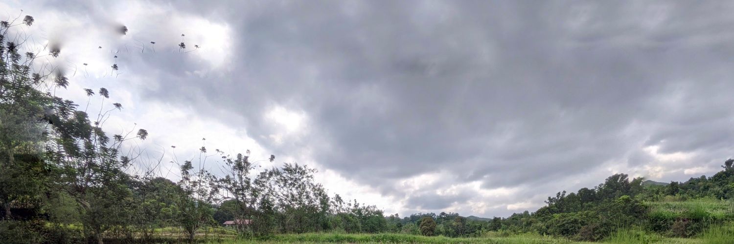 maggie banner