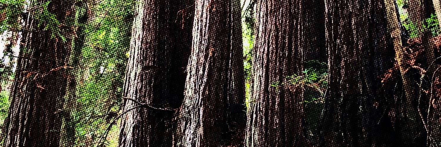 Ryan Oksenhorn banner