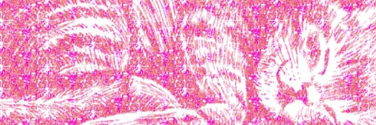 aleyna banner
