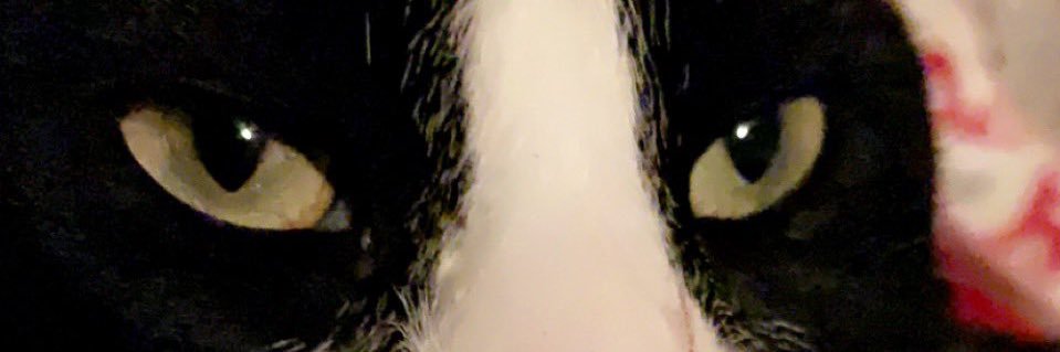 rtdluv's profile banner image