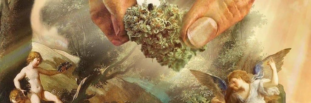 Baking_Buds's profile banner image