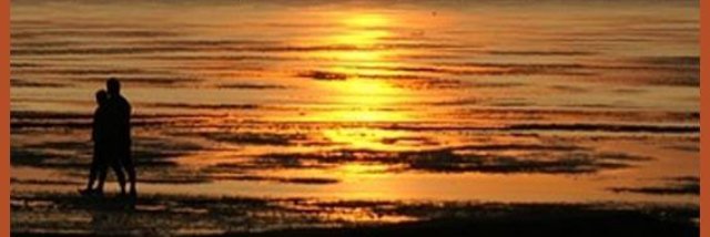Pfemic's profile banner image