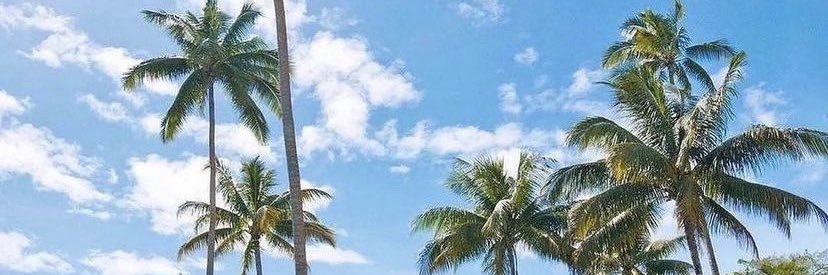 El_indomptable's profile banner image