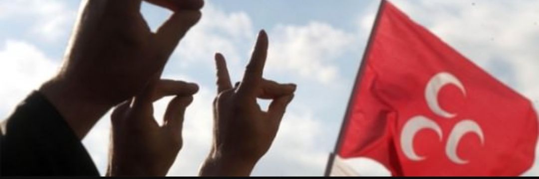 bir__leyla's profile banner image