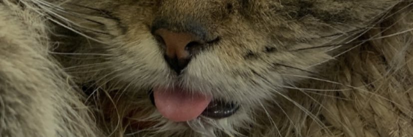 zubbyzar's profile banner image