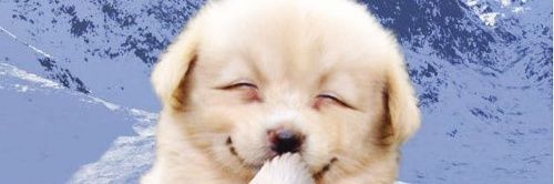 흥칫 banner