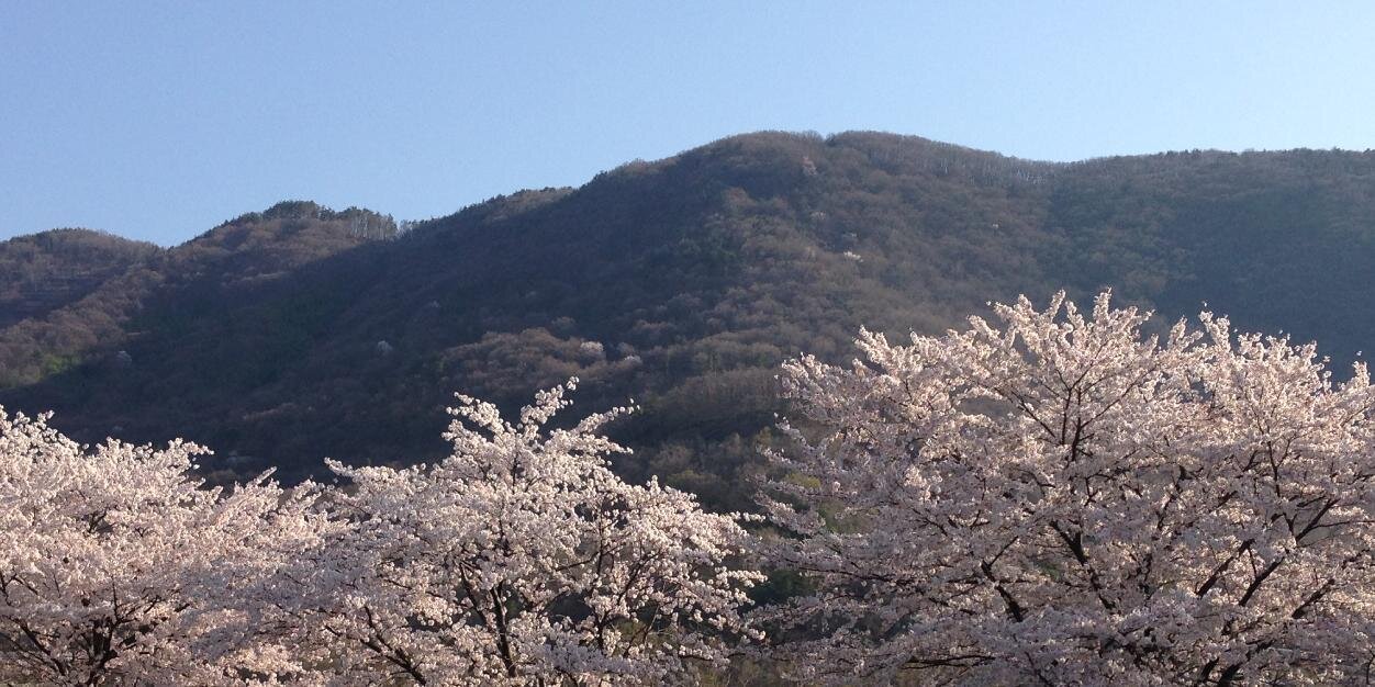 佐柳信男（Nobuo R. Sayanagi） banner