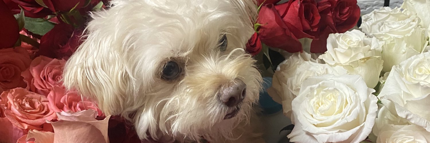 Joselin1214's profile banner image